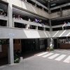 Estudiantes en el Básico